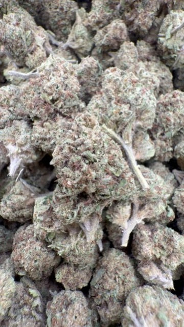 Permanent Marker - Bulk - Hybrid