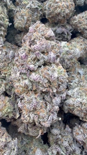 Pre 98 Bubba Indoor - Bulk- Indica