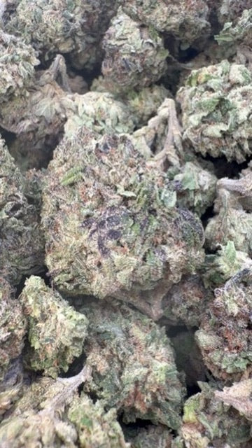 Blue Sherbs - Bulk - Sativa