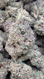 Wedding Crasher - Bulk - Hybrid