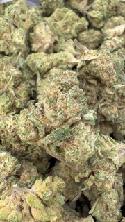 Blueberry Belts - Bulk - Hybrid