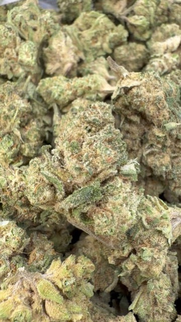 Cinturones de arándanos - A granel - Híbridos