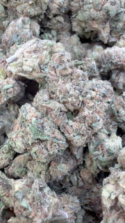 Red Runtz - Bulk - Indica