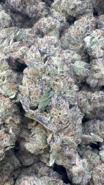 Grape Gas Indoor - Bulk - Hybrid