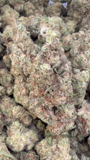 Cookie Crumble - Bulk - Hybrid