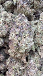 White Gushers - A granel - Híbrido