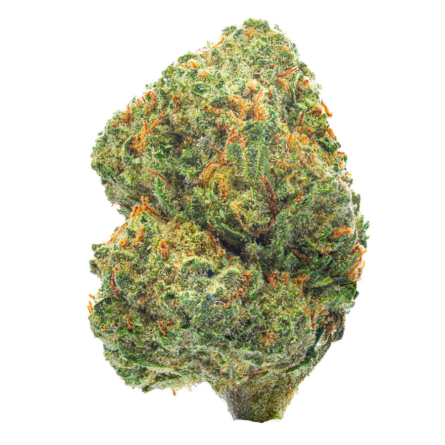 Blueberry Syrup · 28g