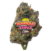 Elite Boutique Exotics - Caramelo Z - 14 gramos - Indica 