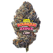Elite Boutique Exotics - Purple Zkittles - 14 gramos - Indica 