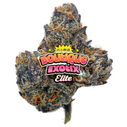 Elite Boutique Exotics - Materia Oscura - 14 Gramos - Híbrido 