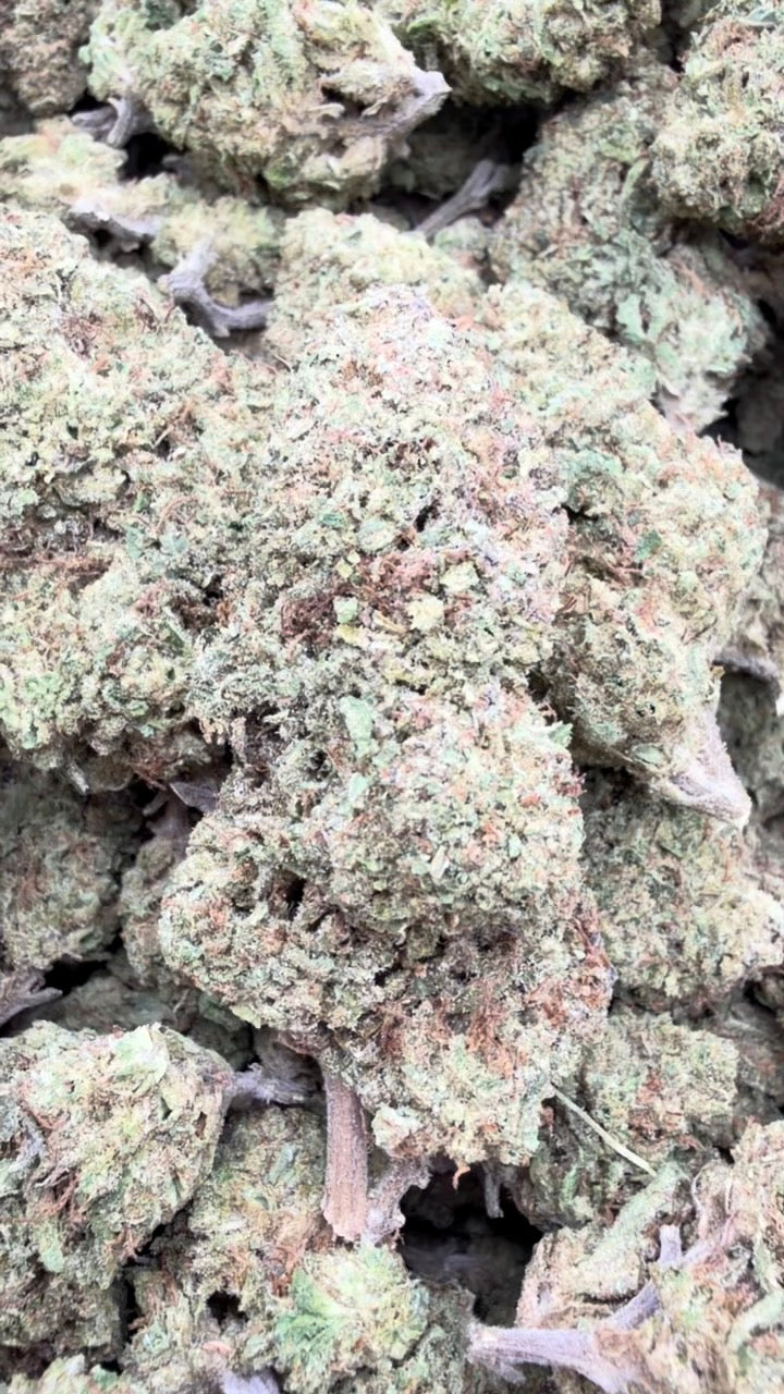 Trainwreck - Bulk - Hybrid