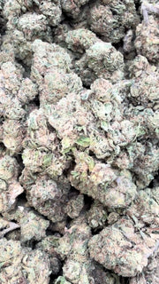Gruntz - Bulk - Indica