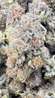 Pre 98 Bubba Indoor - A granel - Indica