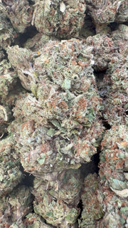 Gelato 41 - A granel - Híbrido