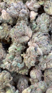 Gelatti Indoor Littles - Bulk Littles - Híbrido