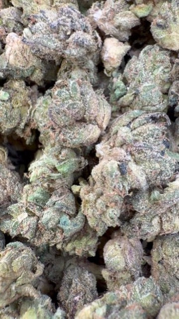 Gelatti Indoor Littles - Bulk Littles - Híbrido