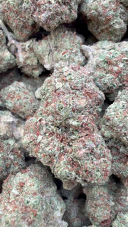 Cheesecake - Bulk - Indica