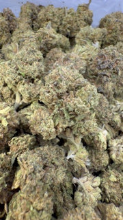 Zoapz - Bulk - Hybrid