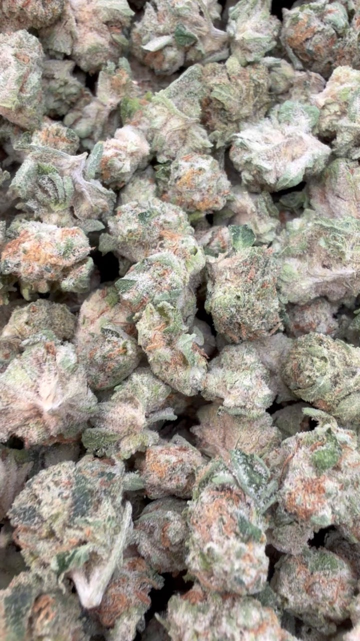 Northern Lights Littles - Bulk Littles - Indica