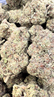 Fidel Runtz - Bulk - Hybrid