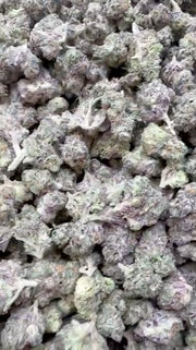 Permanent Marker Indoor Littles - Bulk Littles - Hybrid