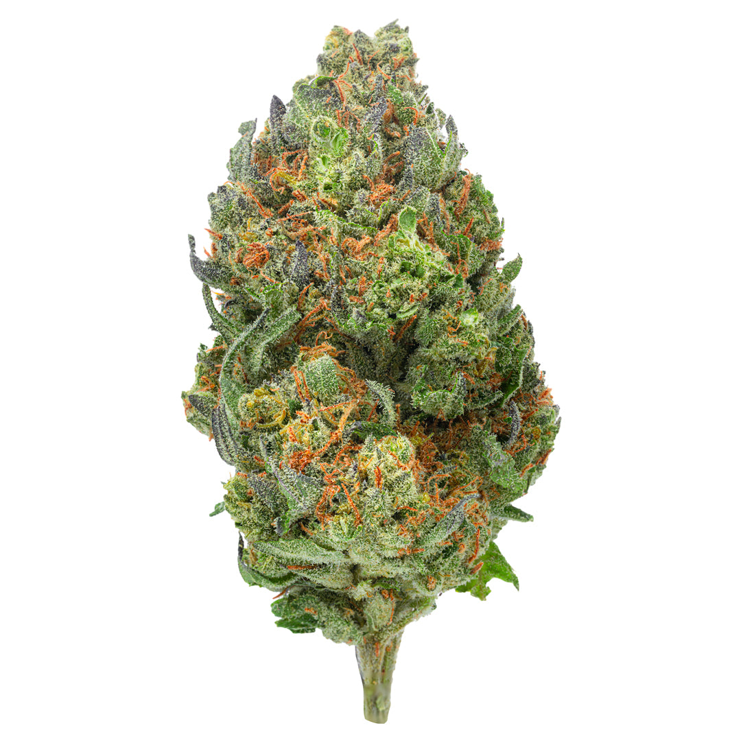 West West Brand - Chocolate Diesel - 14 Grams - Hybrid