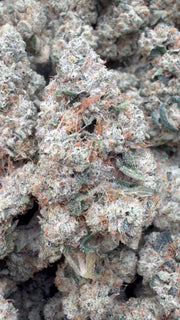 Marathon OG Indoor - Bulk- Indica