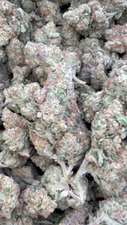 Chocolate Diesel - A granel - Sativa