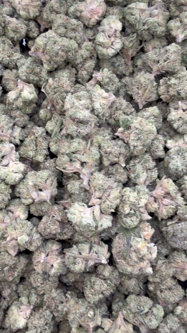 Sherblato Mediums - Bulk Mediums - Hybrid