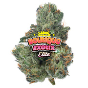 Elite Boutique Exotics - Don Murfos LCG - 4 gramos - Híbrido 