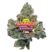 Elite Boutique Exotics - Limon Berry - 4 gramos - Híbrido 
