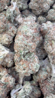 Pineapple Express - Bulk - Sativa