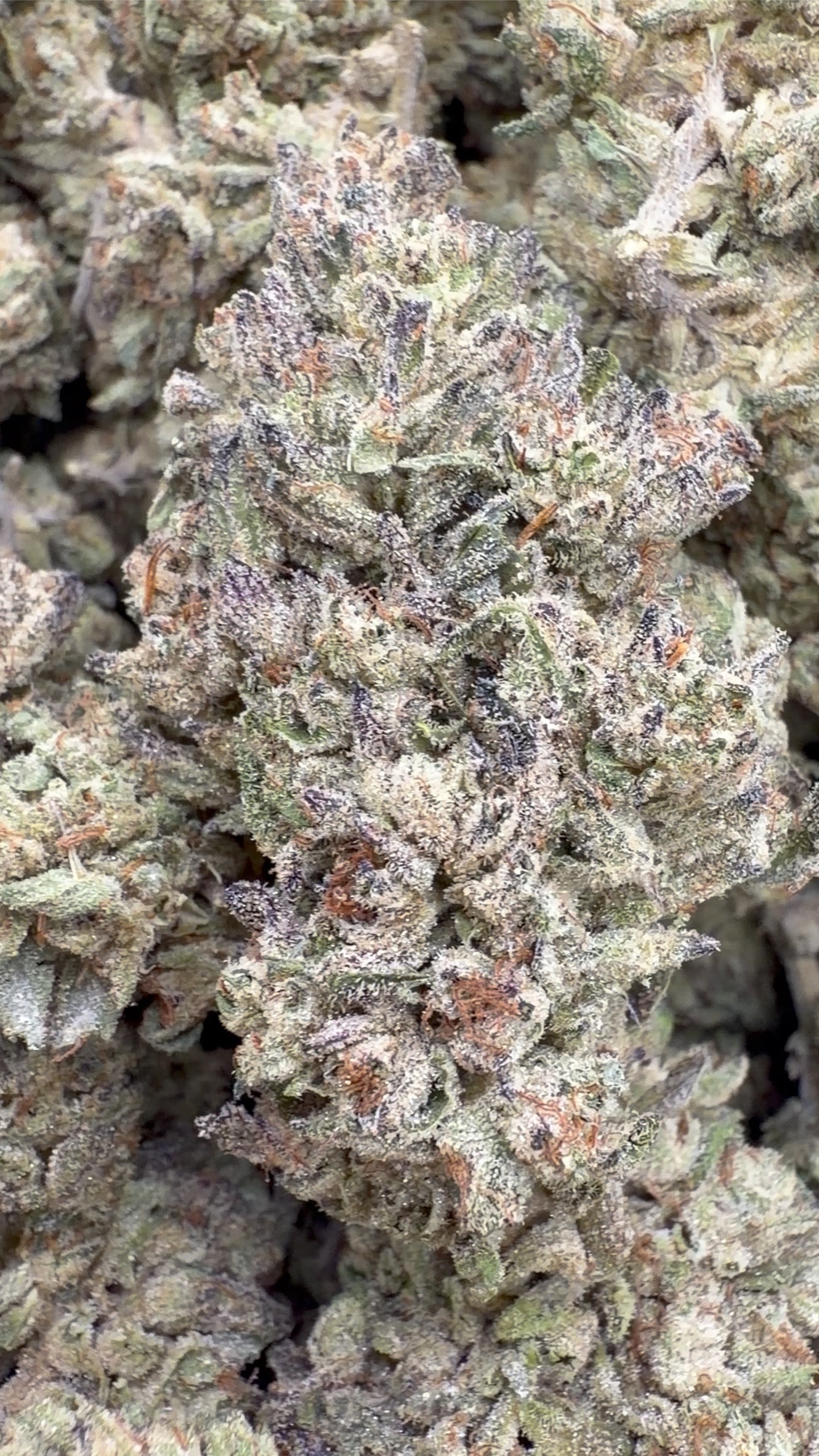 Pastel doble - A granel - Híbrido