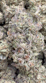 Double Cake - Bulk - Hybird