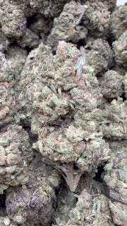 Modified Mintz - Bulk - Indica