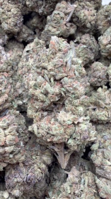 Mintz Modificado - A Granel - Indica 