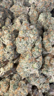 Do Si Dos Indoor - Bulk - Indica