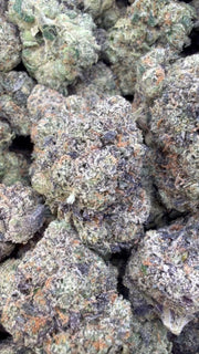 Oakland Runtz Indoor - Bulk - Hybrid