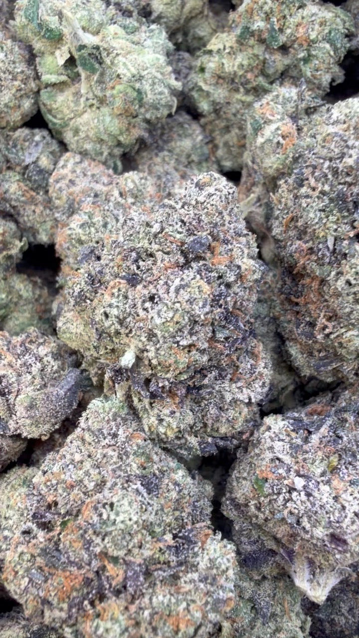 Oakland Runtz Indoor - Bulk - Hybrid