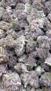 Granddaddy Purple Littles - Bulk Littles - Indica