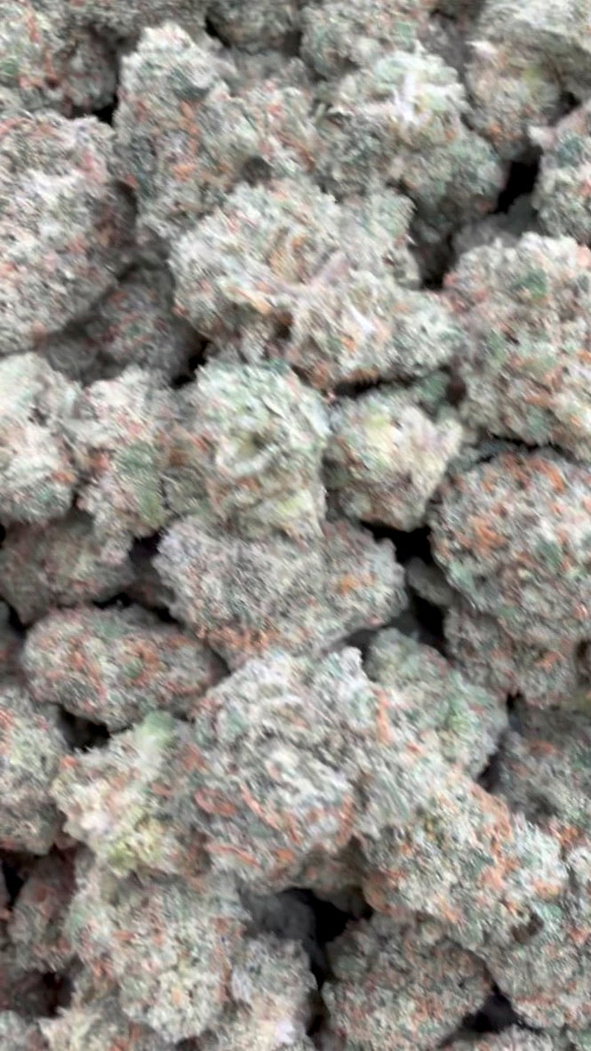 XJ 13 Interior Mediums - Mediums a Granel - Sativa