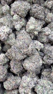 Boutique Exotics Jolly Ranchers Mediums - Bulk Mediums - Indica