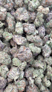 Purple Churro Littles - Bulk Littles - Indica