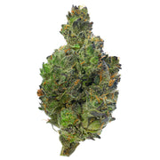 Gorilla Glue - 28 gramos - Híbrido