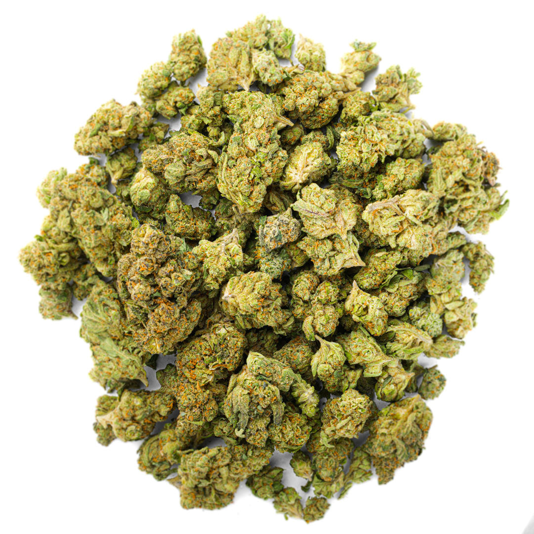 Guava Lato - 28 Grams - Hybrid