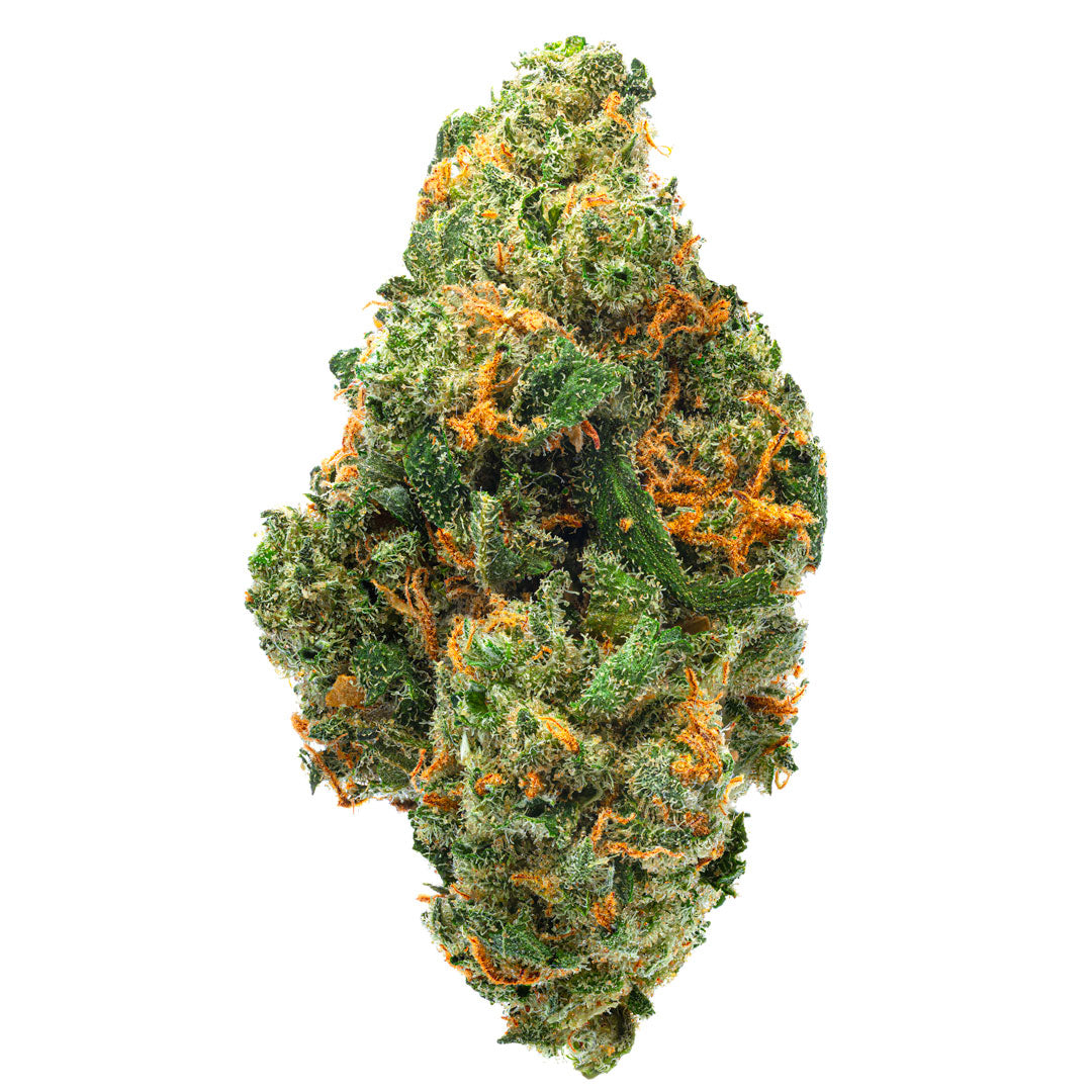 Jack Herer Indoor - 14 gramos - Sativa