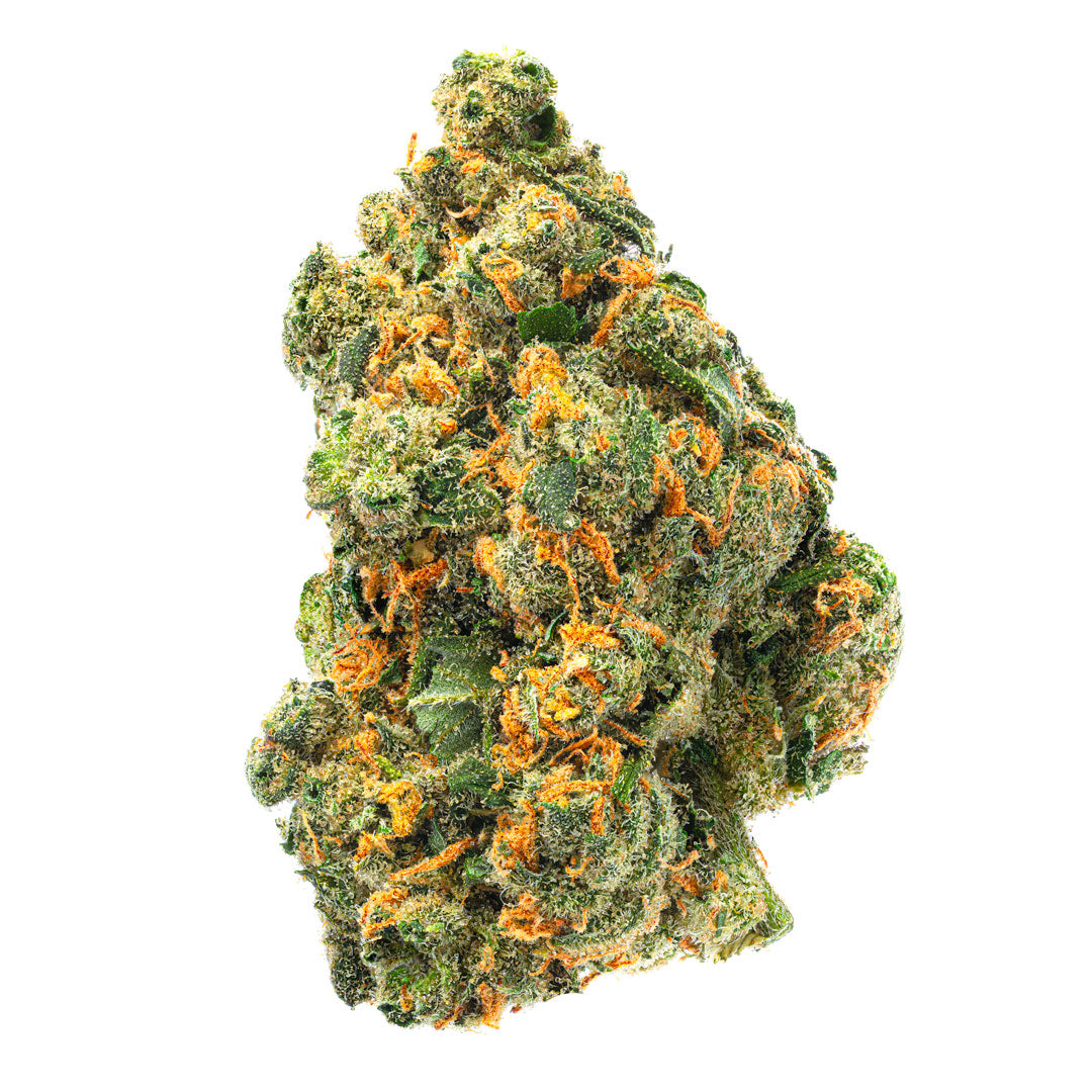 Jack Herer Indoor - 14 gramos - Sativa