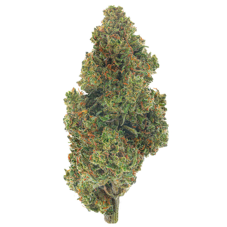 Jack Herer · 14g