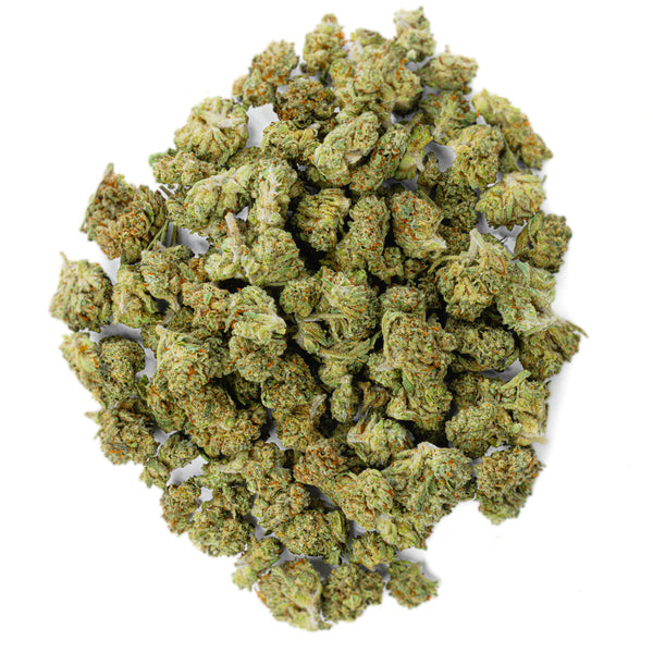 Jack Herrer - 14 Grams Littles - Sativa