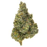 Lato Pop - 4 gramos - Híbrido